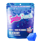 Indica - Blueberry NANO Gummies