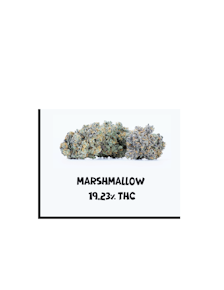 Marshmallow OG