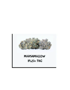 Creekside Farms - Marshmallow OG