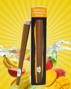L Train - L-Train- Infused Blunt- Tropical Terminal