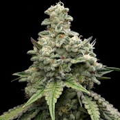 LA Kush Cake - Flower - SPR - 1g