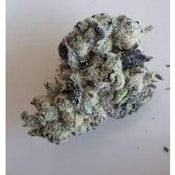  Original Intelligence | LA Pop Rocks Indica | 3.5g Flower - Top Shelf jar