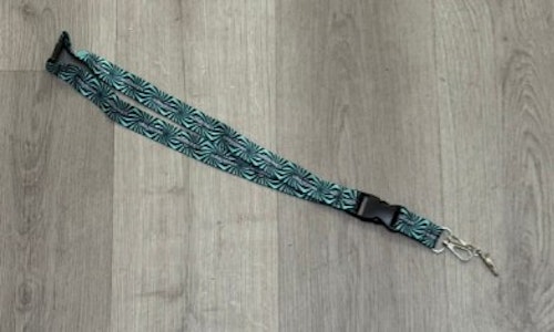 GEAR - [GEAR] Lanyard