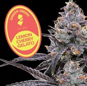 Garden Greens | Lemon Cherry Gelato |3.5g