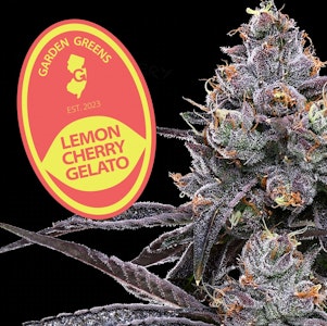 GARDEN GREENS - Garden Greens | Lemon Cherry Gelato |3.5g