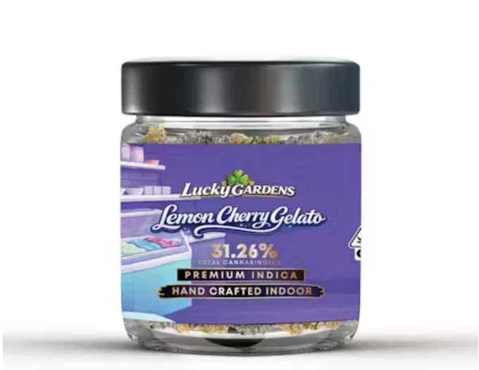 Lucky Gardens - LUCKY GARDENS: Lemon Cherry Gelato 3.5g - Premim Indoor Flower (I) Main Image