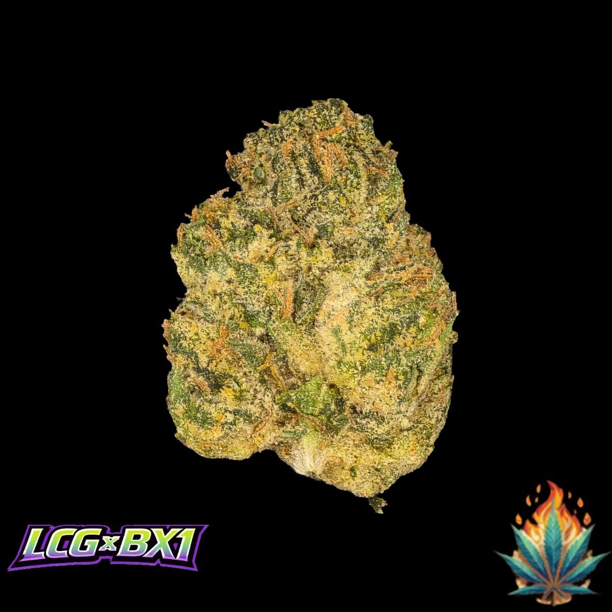 Native Fire *OZ*- LCG x BX1