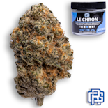 Le Chron Flower | Eighth Special