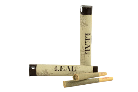 Leal - Leal | Pre-roll | Joint - Blueberry Muffin | 1g
