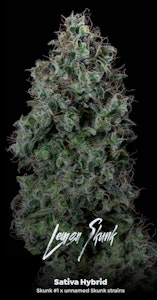 ALTERNATIVE SOLUTIONS - Lemon Skunk Bulk Deli Flower