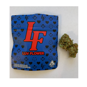 LUV $19 Blueberry Afghan (I) 1/8th