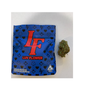 LUV $19 Purple Haze (H) 1/8th