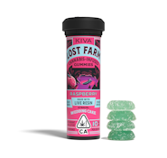 Raspberry (Live Resin Infused) Gummies - 100mg (I) - Lost Farms