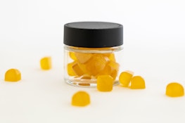 The Herbal Confectionery | Mindset Mango Gummies | 100mg