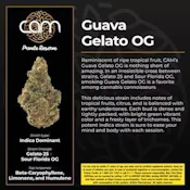 CAM - Guava Gelato - Flower - 3.5g