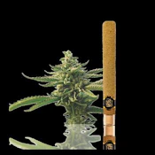 Lil Leftys - Strawberry Banana - Blunt - 2g