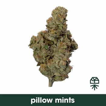 Grassroots - Grassroots - Pillow Mints - Flower - 3.5g Main Image