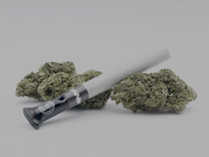 OUTRANKD - Chernobyl - Pre-Roll - 1g