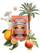 Lost Farm - 'Ztrawberry Guava' Tropical Lemonade- Rosin Gummy - .1g