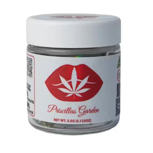 Priscilla's Garden - Priscilla's Garden | Lemon Cherry Zolato | 3.5G Hybrid