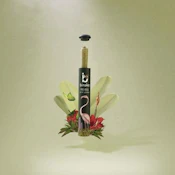 Binske - Simple Syrup - Pre-Roll - 1g