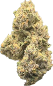 Juniper Jill - Chocolope 2.0 - Flower - 3.5g