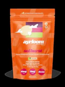 Ayrloom - Sol Burst - Gummy - 0.1g
