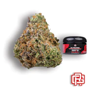 Lil Paloma Flower | Quarter Special