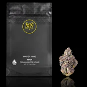 Lipstain (Minis) - 14g (H) - Maven