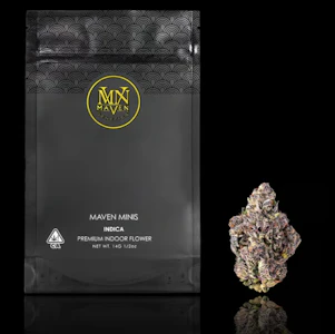 Maven Genetics - Lipstain (Minis) - 14g (H) - Maven