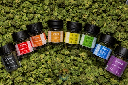 Live - LIVE| Orange Crazy Train | 3.5g