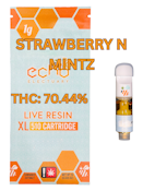 Echo | Cart LR 1g [H] | Strawberry N' Mints