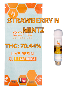 ECHO ELECTUARY - Echo | Cart LR 1g [H] | Strawberry N' Mints