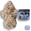 Lizard Burger Flower | Eighth Special