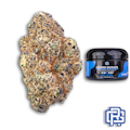 Lizard Burger Flower | Quarter Special