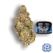 Lizard Burger Flower | Quarter Special