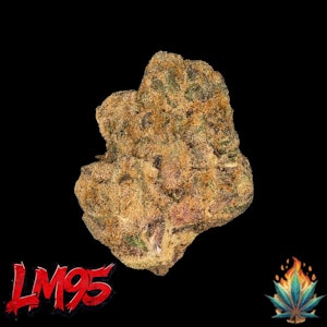 Native Fire - Native Fire 3.5g- LM95