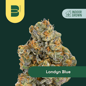 Botanist - The Botanist | Londyn Blue | 14G Hybrid