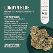 The Botanist | Londyn Blue | 3.5 Hybrid