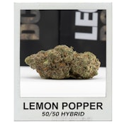 Lemon Popper