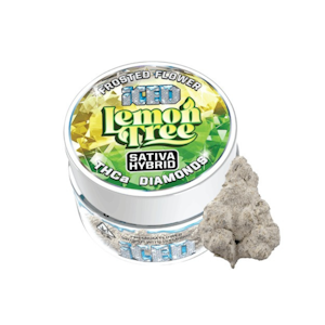 ICED - Lemon Tree (S) | 3.5g Infused Flower | Iced