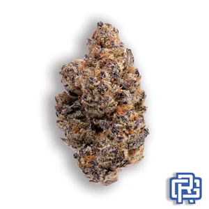 Black Sheep Cultivation - Lusty Lady Flower