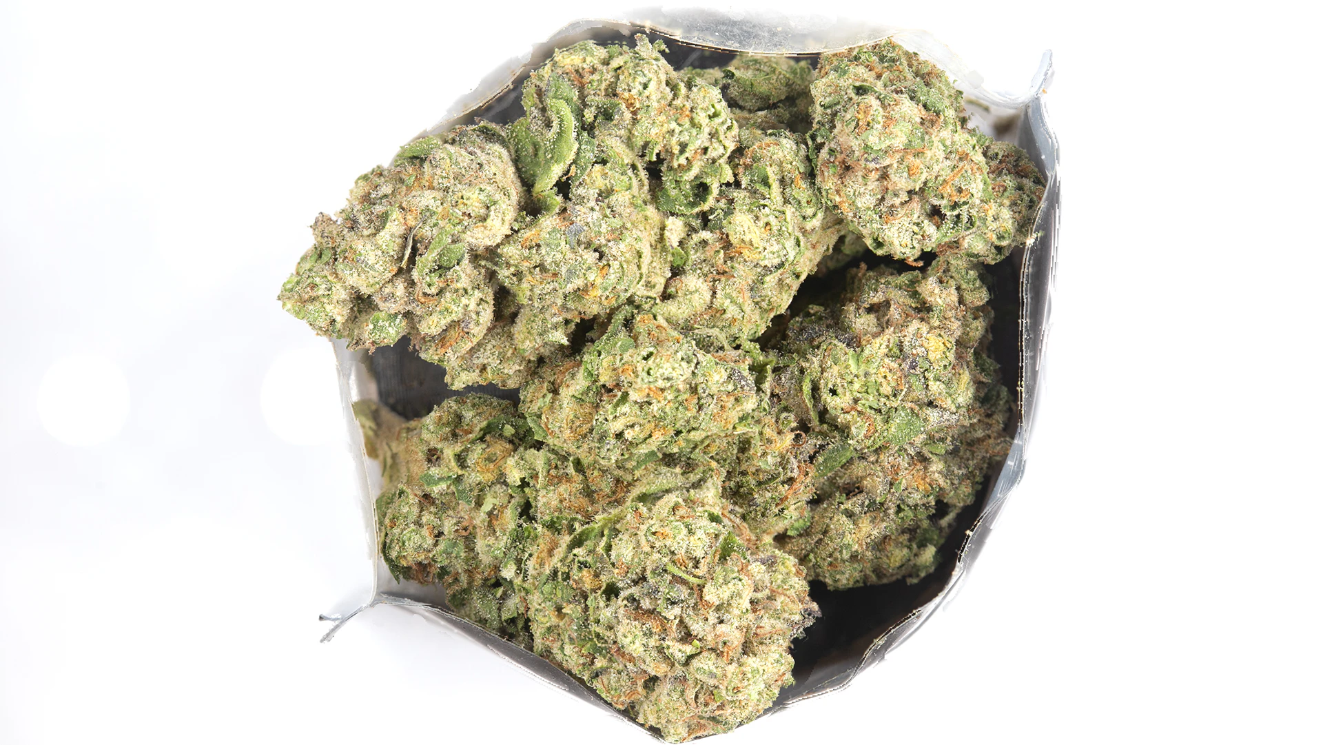 Madrone - La Bamba | 3.5g Main Image