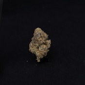 THC | La Rosa