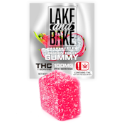 Lake and Bake | Dragon Fruit | Gummies |100mg