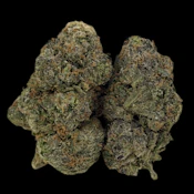  Lala Land -- 1/2 Ounce