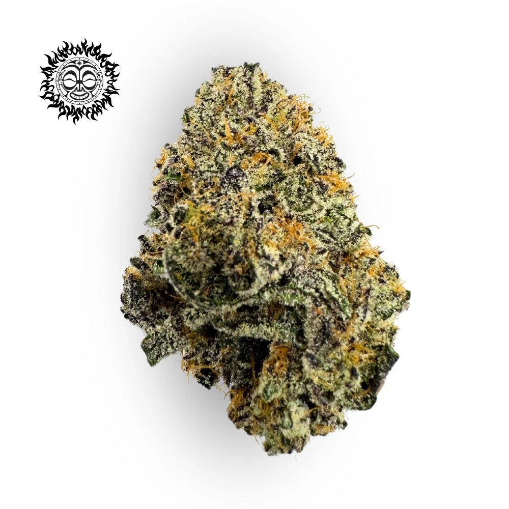 Fire Island - Lava Cake Bulk Flower - FIRE ISLAND Main Image