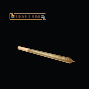 5 LEAF LABS - Citral Glue | 1g King Size