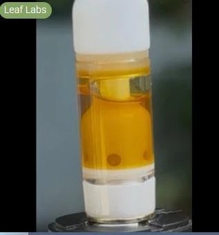 Leaf Labs - Leaf Labs | Cherry Vanilla Cheese | 0.5g Live Sauce Vape Cart [S] Main Image
