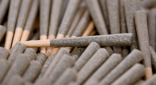 FLORA FARMS - FLORA - REDNECK CRASHER 1 GRAM PRE ROLL